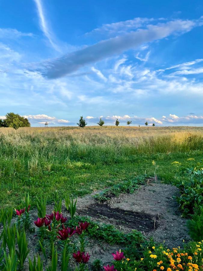 Ferienwohnung Drozdi Hnizdo Horni Breckov Exterior foto